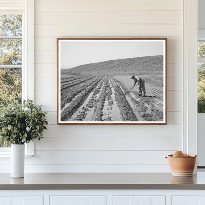 1941 Farmer in Vale-Owyhee Irrigation Project Oregon