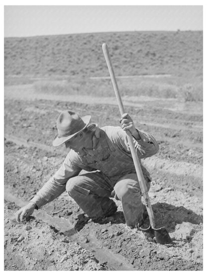 May 1941 Farmer in Malheur County Oregon FSA/OWI Collection