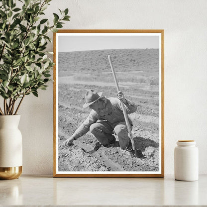 May 1941 Farmer in Malheur County Oregon FSA/OWI Collection