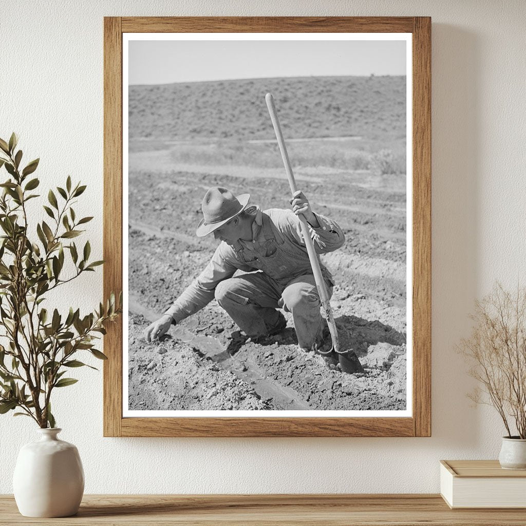 May 1941 Farmer in Malheur County Oregon FSA/OWI Collection