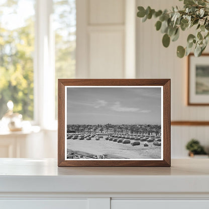 FSA Trailer Camp for Defense Workers San Diego 1941