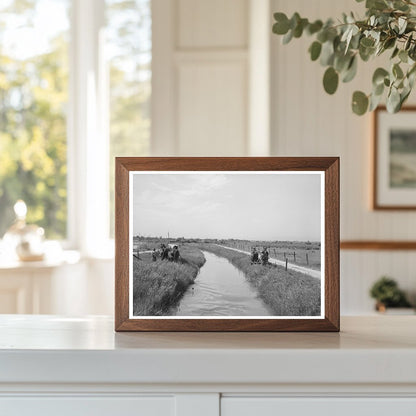 Irrigation Ditch in Canyon County Idaho June 1941