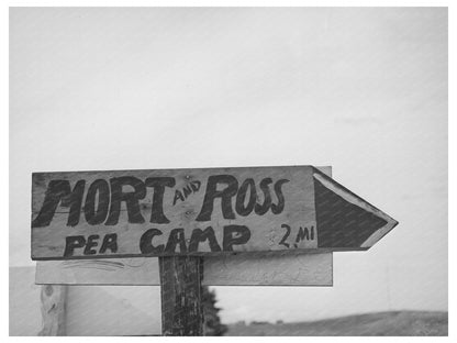 Contractors Pea Workers Camp Idaho June 1941