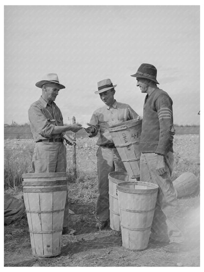 Pea Pickers Checking Hampers in Canyon County Idaho 1941