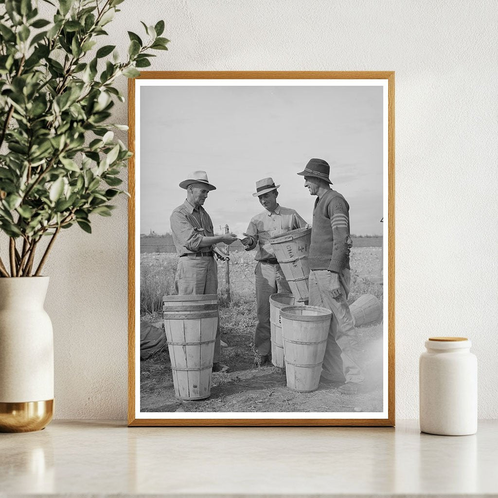 Pea Pickers Checking Hampers in Canyon County Idaho 1941