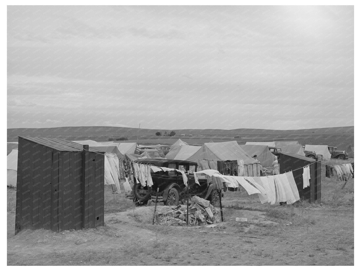 Privies at Idaho Pea Pickers Camp June 1941