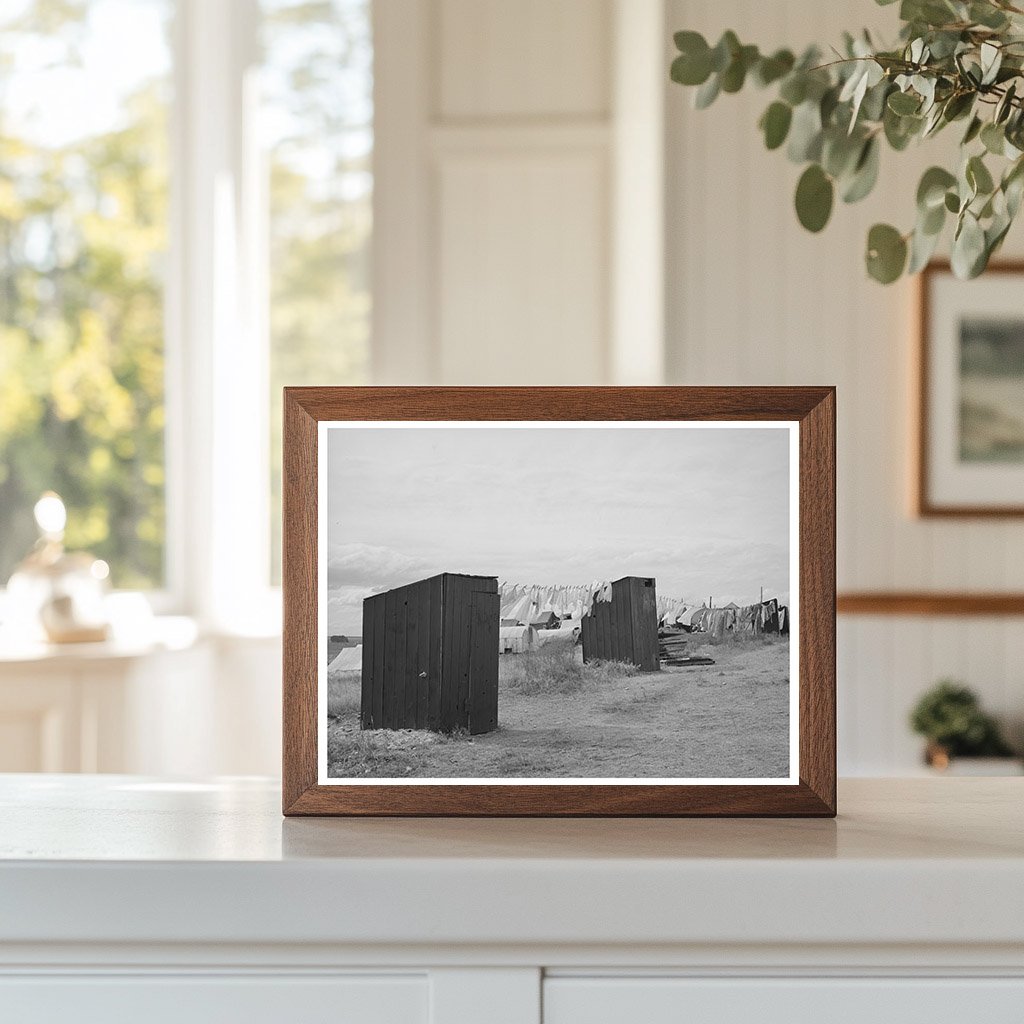 1941 Vintage Image of Privies at Idaho Pea Pickers Camp