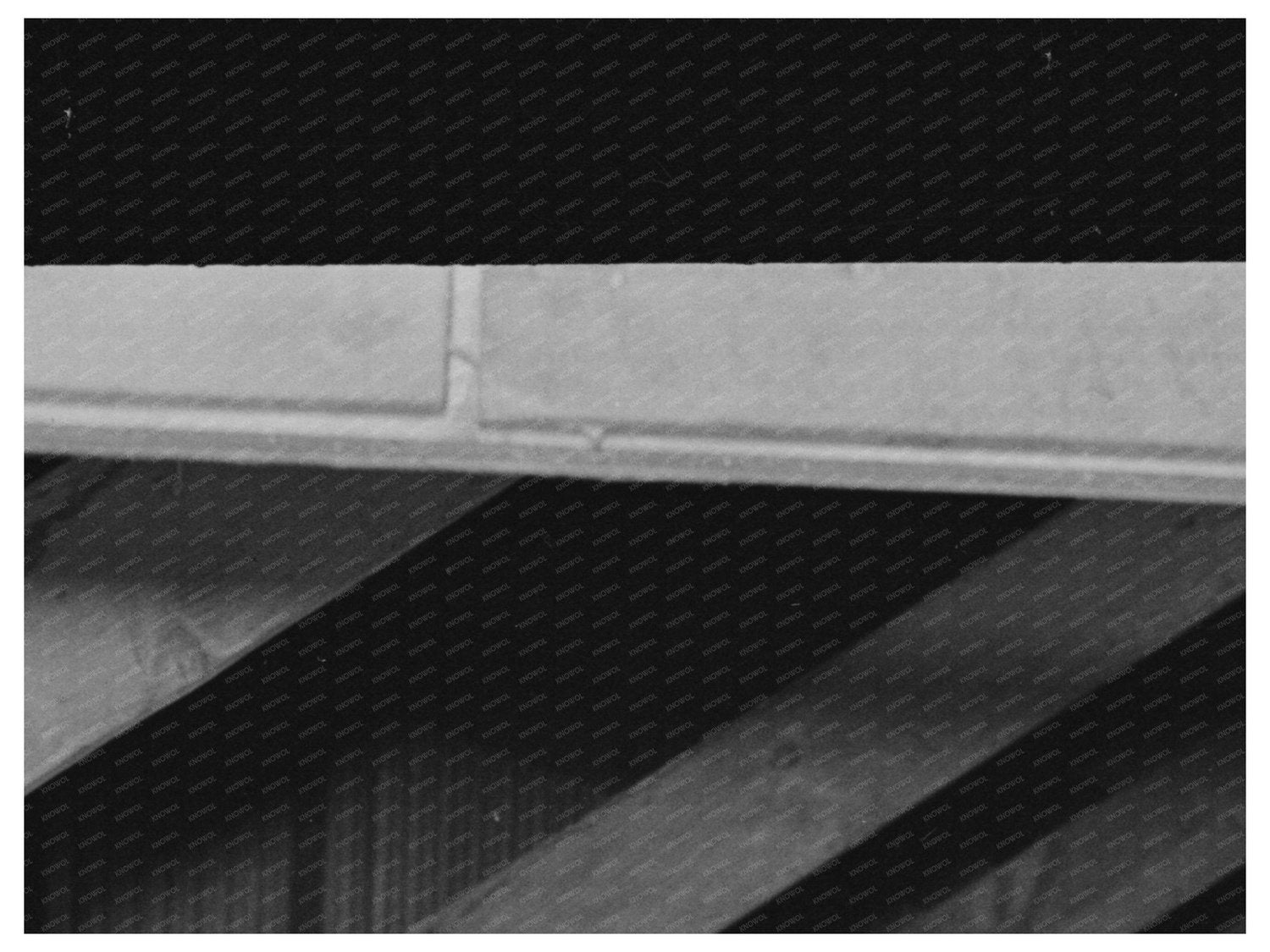 Pea Packing Plant in Canyon County Idaho 1941