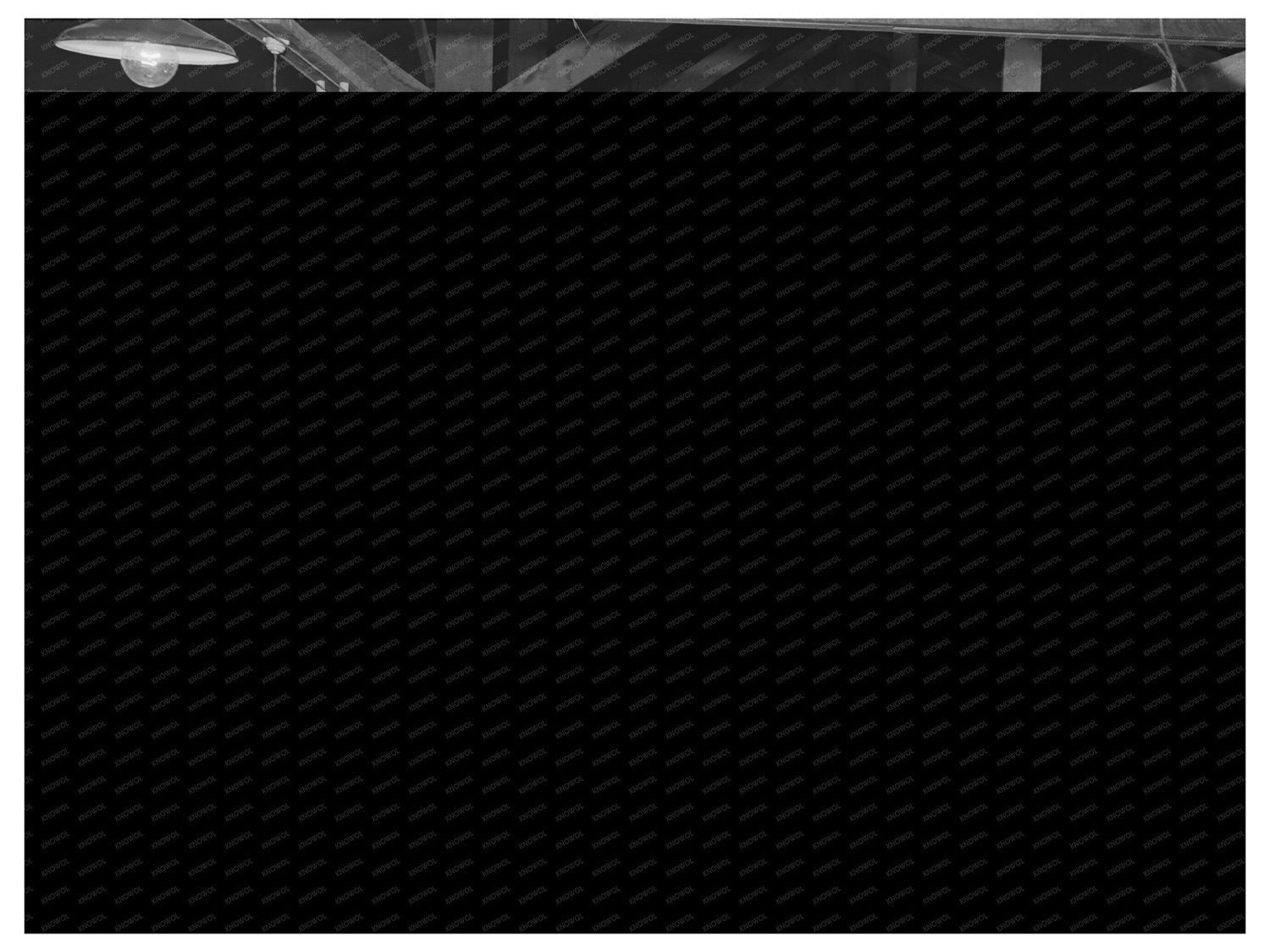 Canyon County Idaho Pea Packing Plant June 1941 Image