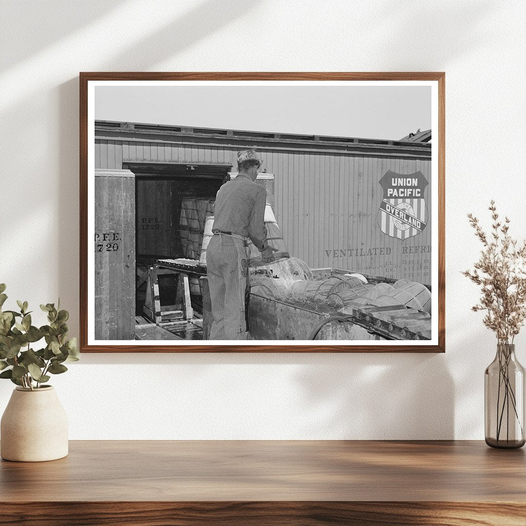 Lettuce Packing in Refrigerator Cars Nampa Idaho June 1941