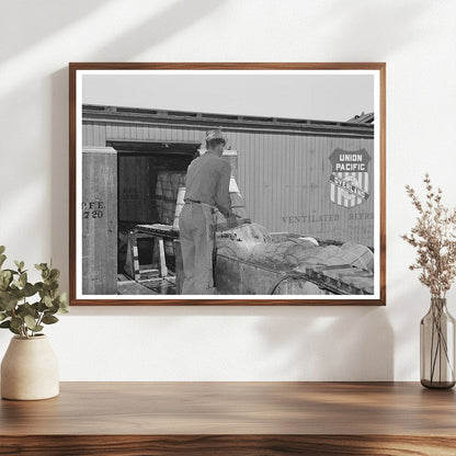 Lettuce Packing in Refrigerator Cars Nampa Idaho June 1941