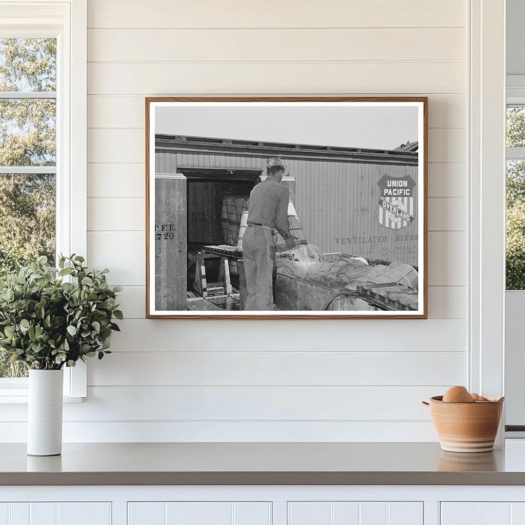Lettuce Packing in Refrigerator Cars Nampa Idaho June 1941