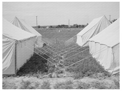 1941 Farm Security Administration Labor Camp Tents Idaho
