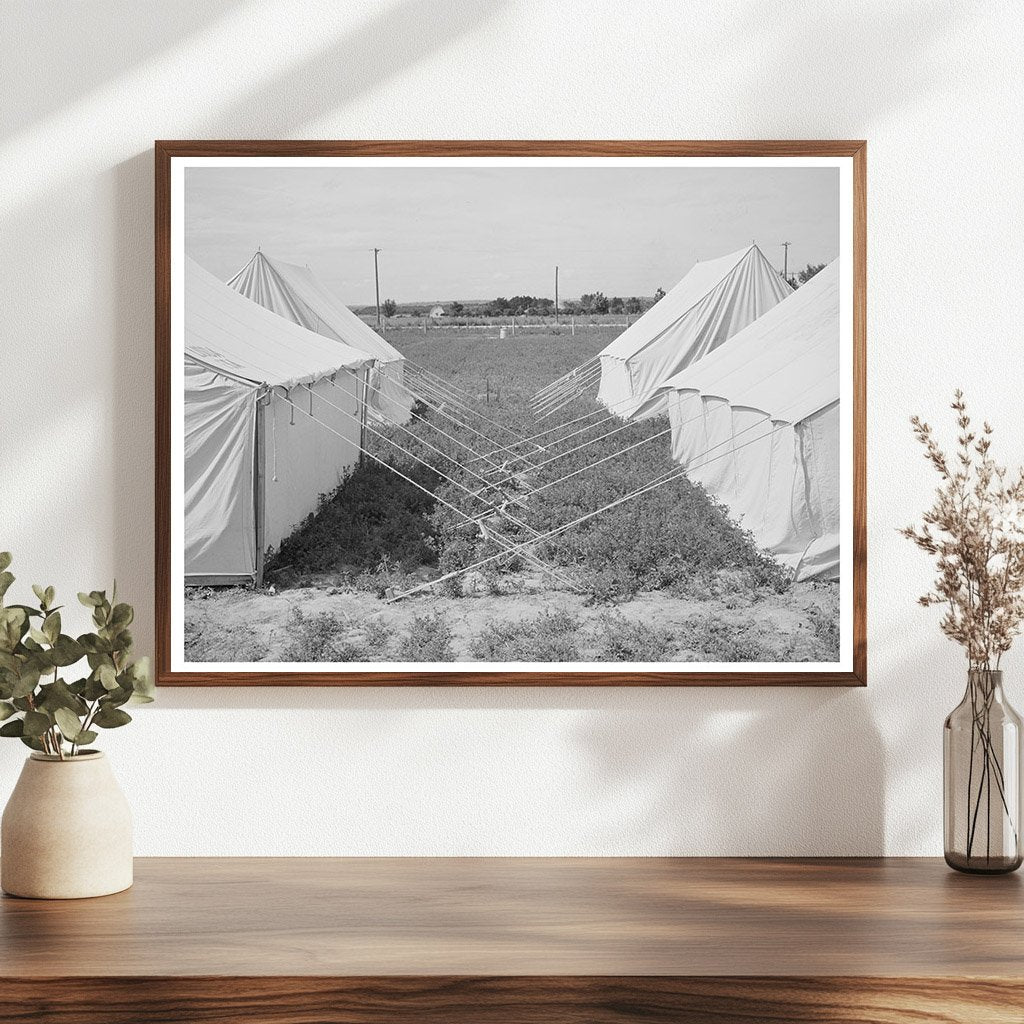 1941 Farm Security Administration Labor Camp Tents Idaho