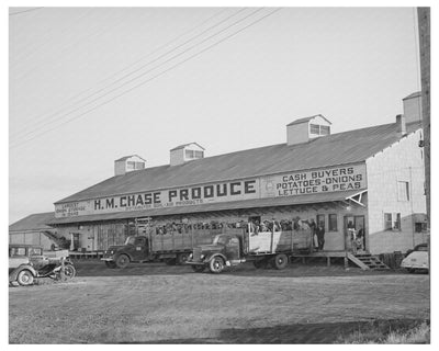 High School Students Prepare to Pick Peas 1941 Idaho