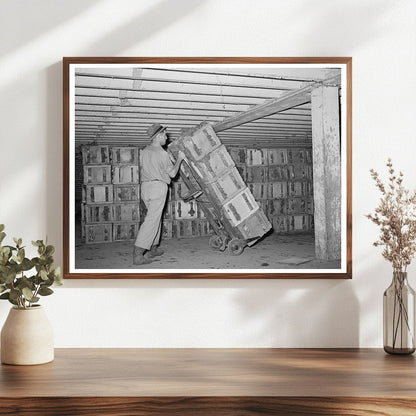 Lettuce Transport to Refrigerated Cars Canyon County 1941