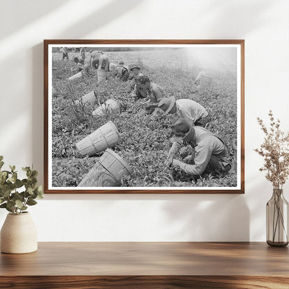Pea Pickers in Canyon County Idaho June 1941 Black and White