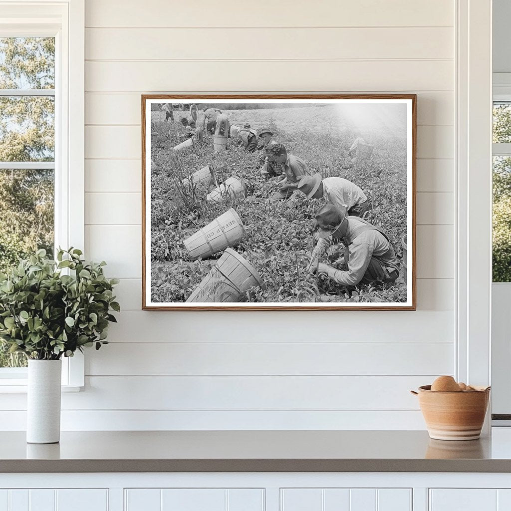 Pea Pickers in Canyon County Idaho June 1941 Black and White