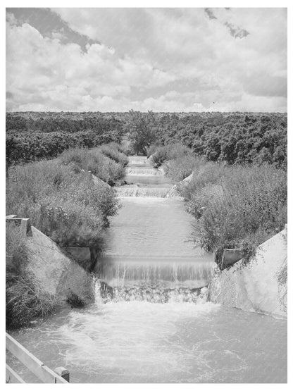 Lateral Irrigation Ditch in Idaho Orchard 1941