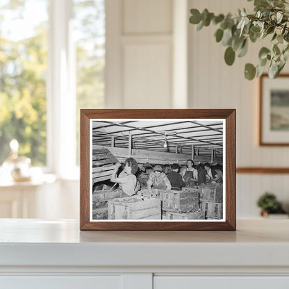Cleaning and Packing Lettuce in Idaho 1941