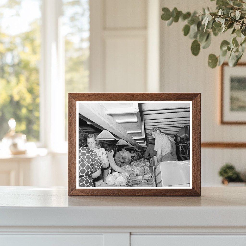 Grading and Packing Lettuce in Canyon County Idaho 1941