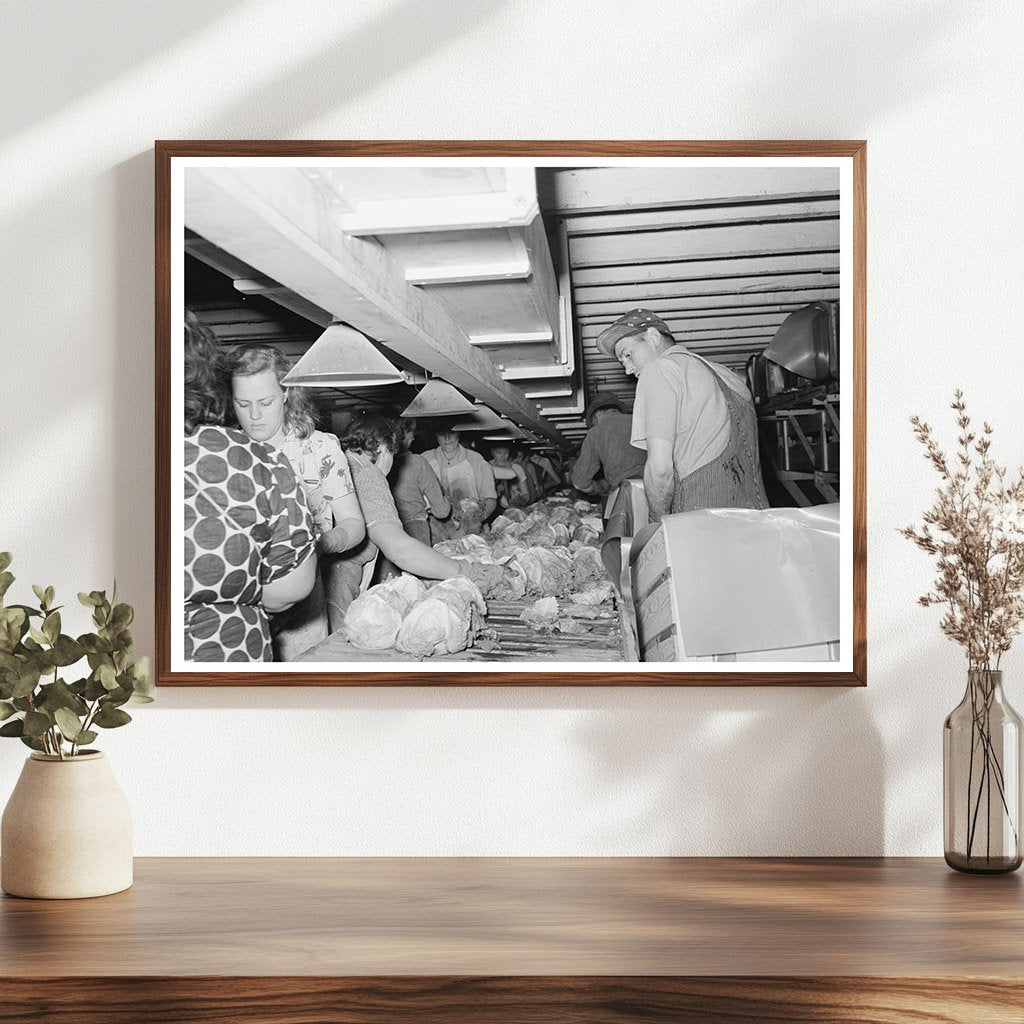 Grading and Packing Lettuce in Canyon County Idaho 1941