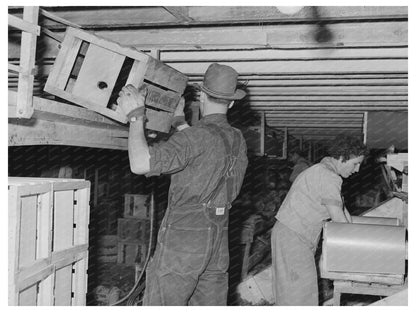 1941 Workers in Lettuce Packing Plant Canyon County Idaho