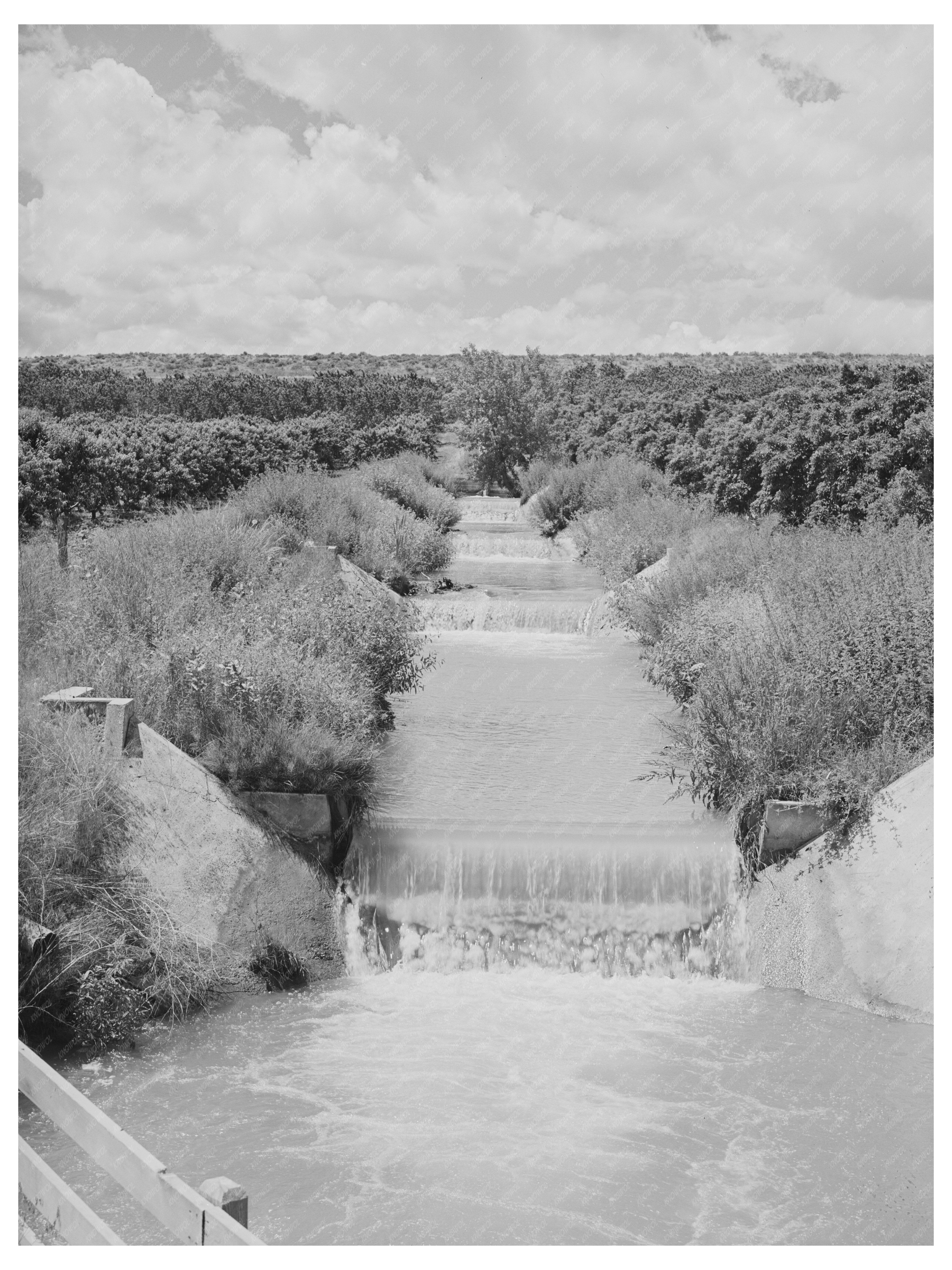 Lateral Irrigation Ditch in Idaho Orchard June 1941