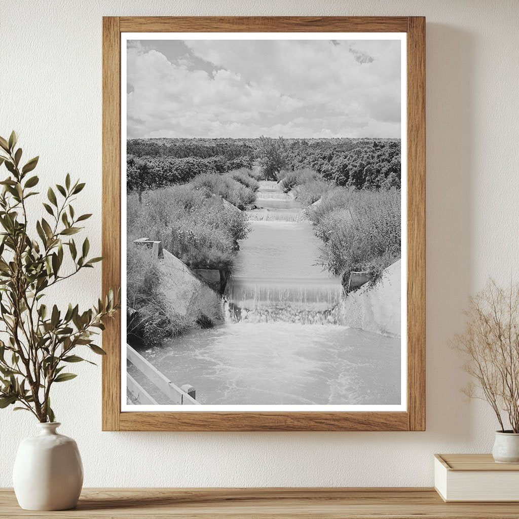 Lateral Irrigation Ditch in Idaho Orchard June 1941