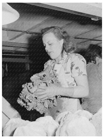 Workers Packing Lettuce in Canyon County Idaho June 1941