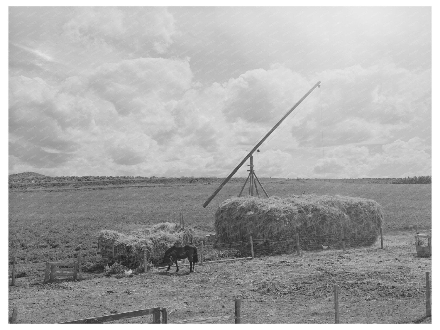 Farm Scene in Caldwell Idaho June 1941 FSA Collection