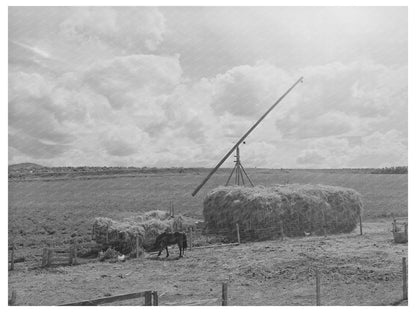 Farm Scene in Caldwell Idaho June 1941 FSA Collection