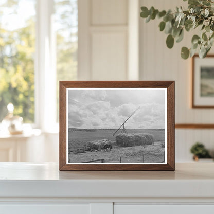 Farm Scene in Caldwell Idaho June 1941 FSA Collection