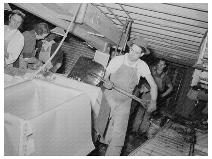 Icing Lettuce Crates for Shipment in Idaho June 1941