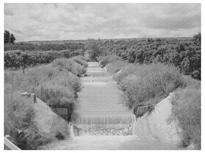Canyon County Idaho Orchard Irrigation Ditch June 1941