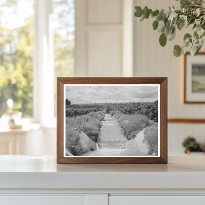 Canyon County Idaho Orchard Irrigation Ditch June 1941