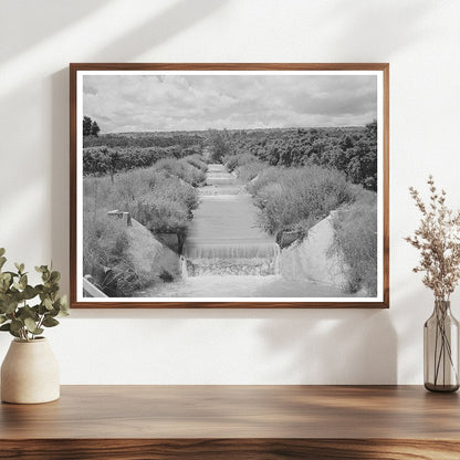 Canyon County Idaho Orchard Irrigation Ditch June 1941