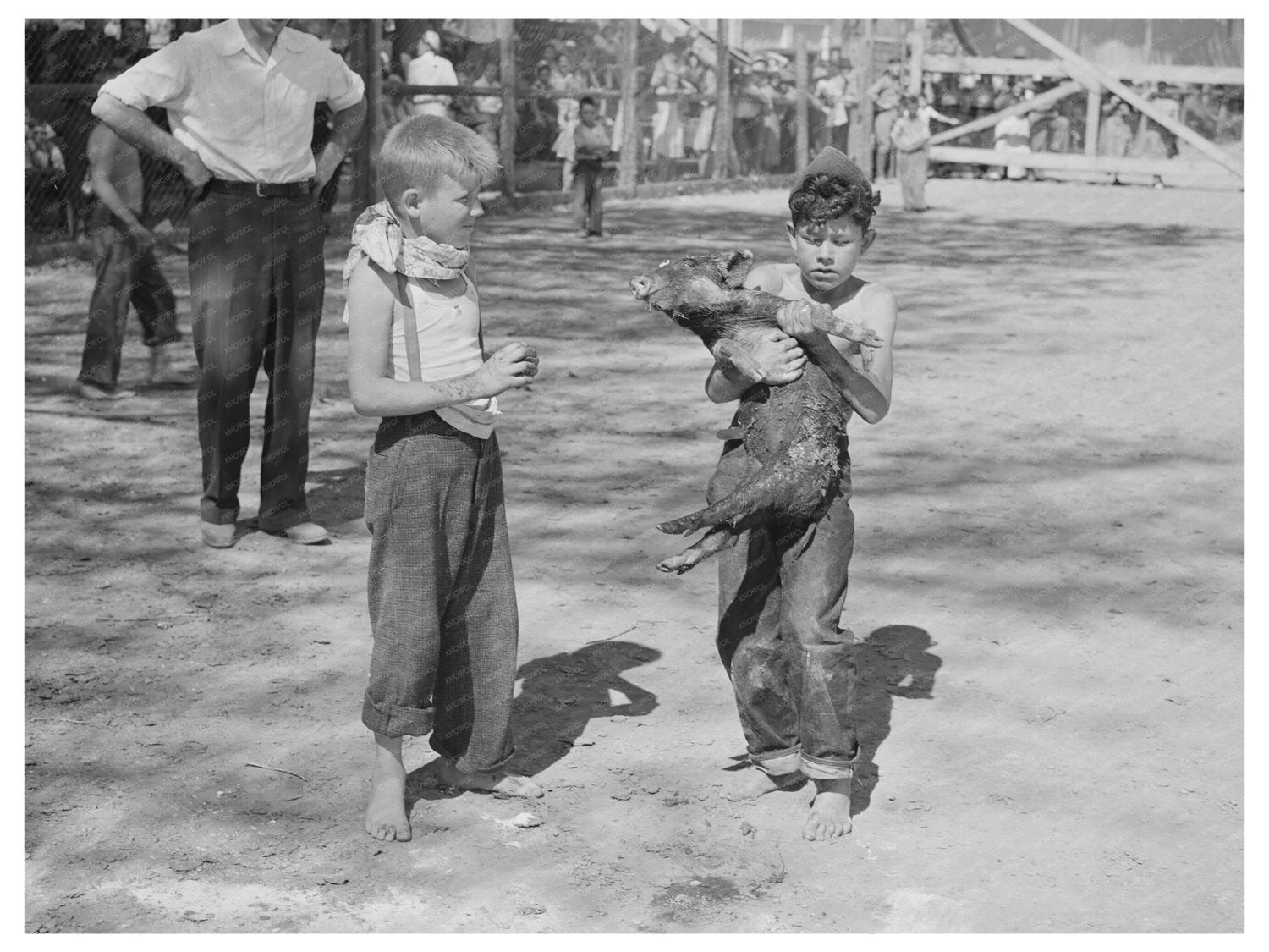 Young Boy with Greased Pig at July 1941 Vale Celebration