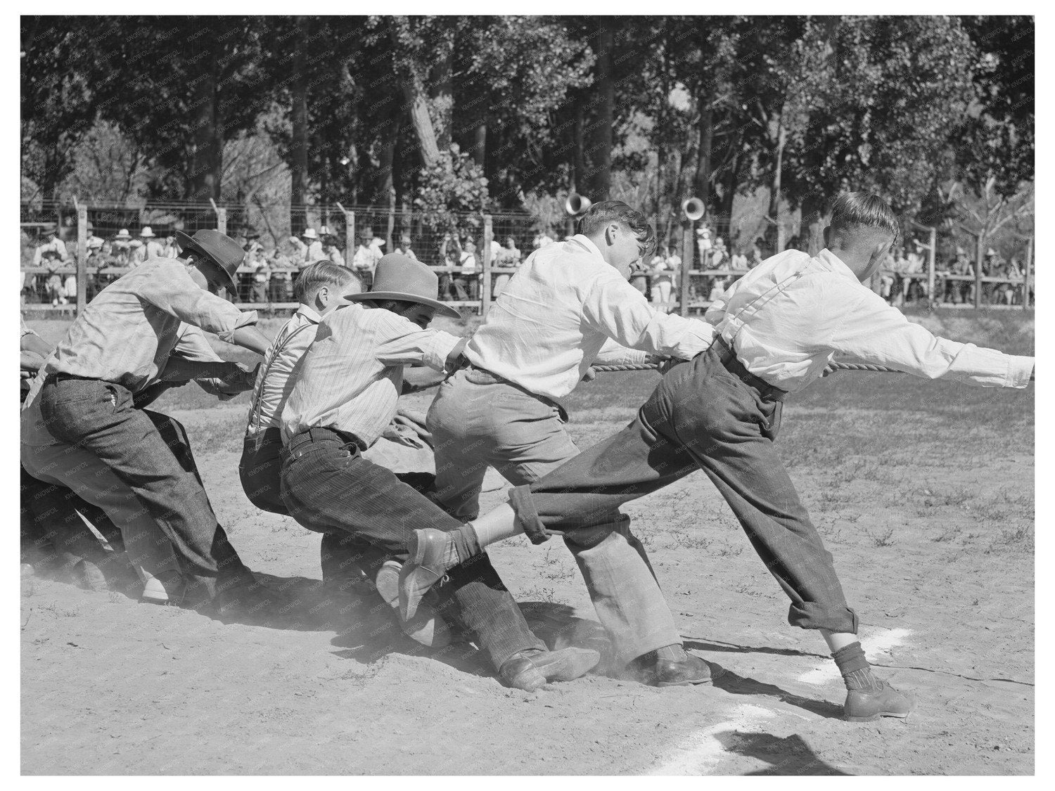 Tug of War at Fourth of July Celebration Vale Oregon 1941
