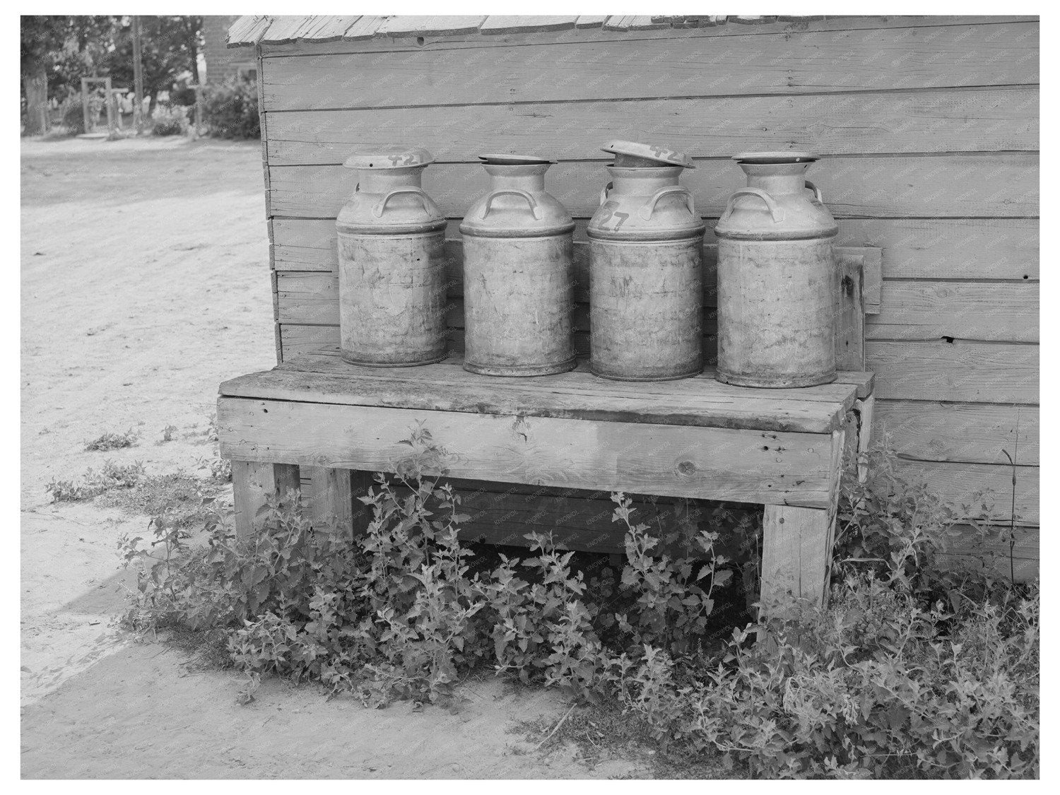 Milk Cans on Dairymens Cooperative Farm Idaho 1941