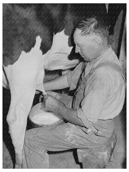 Dairymens Cooperative Creamery Milking Cow June 1941