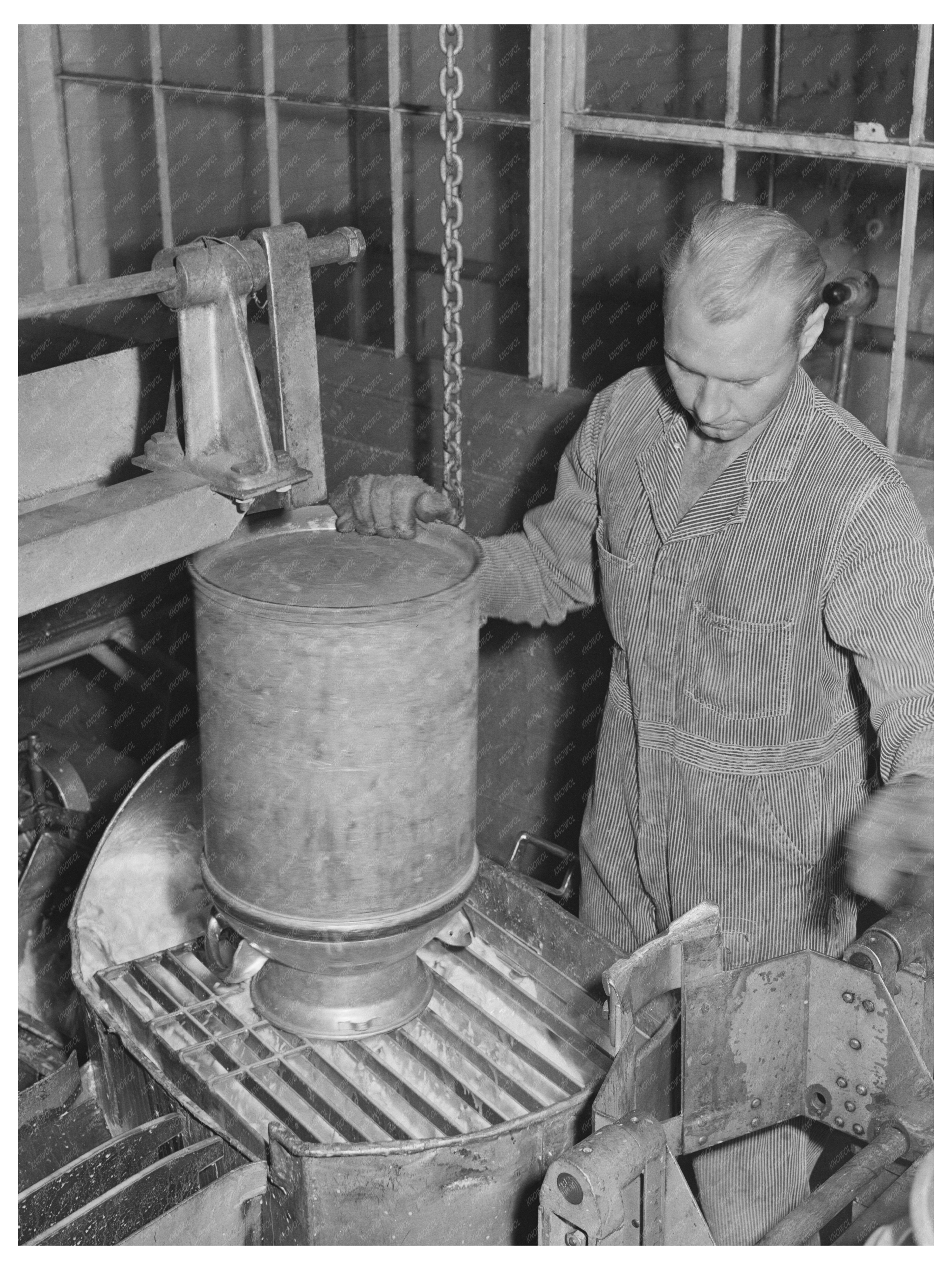 Milk Dumping Process at Dairymens Cooperative Creamery 1941