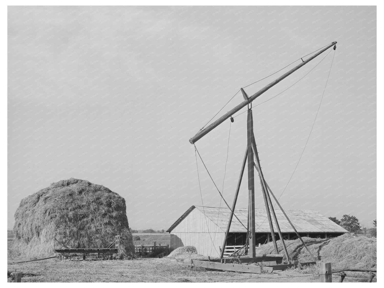 Hay Harvesting on Dairymens Cooperative Farm Idaho 1941