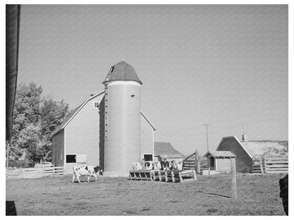 Barn and Feedlot in Caldwell Idaho June 1941