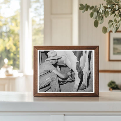 Electric Milker on Dairy Cow Caldwell Idaho June 1941