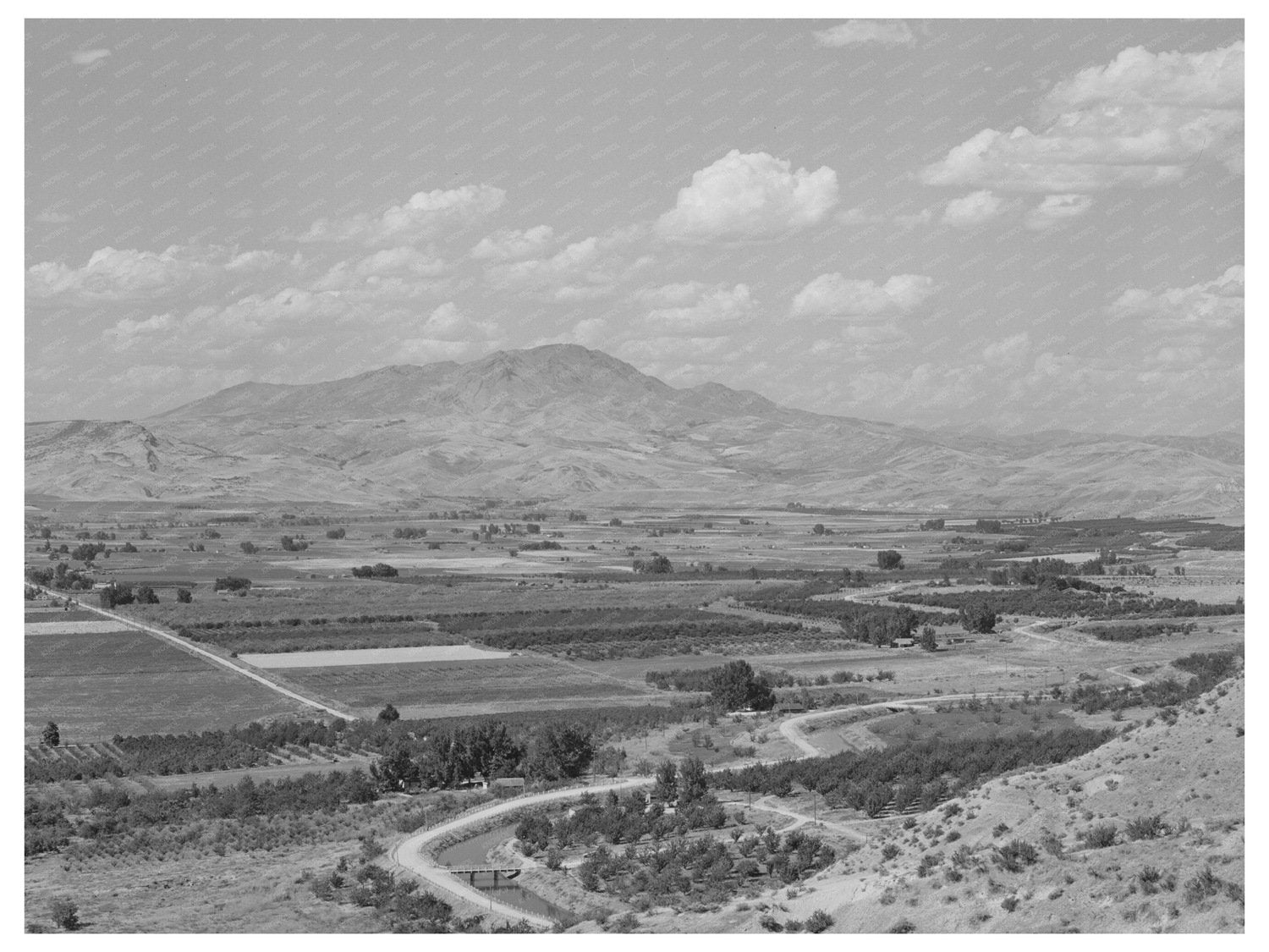Cherry Orchards and Irrigation Ditches Emmett Idaho 1941