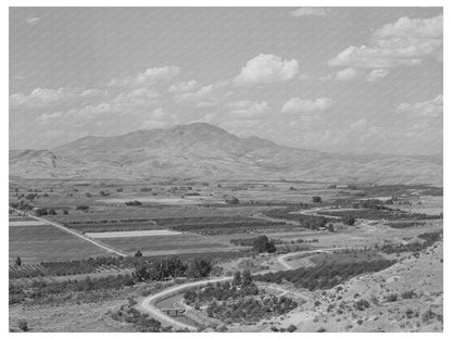 Cherry Orchards and Irrigation Ditches Emmett Idaho 1941