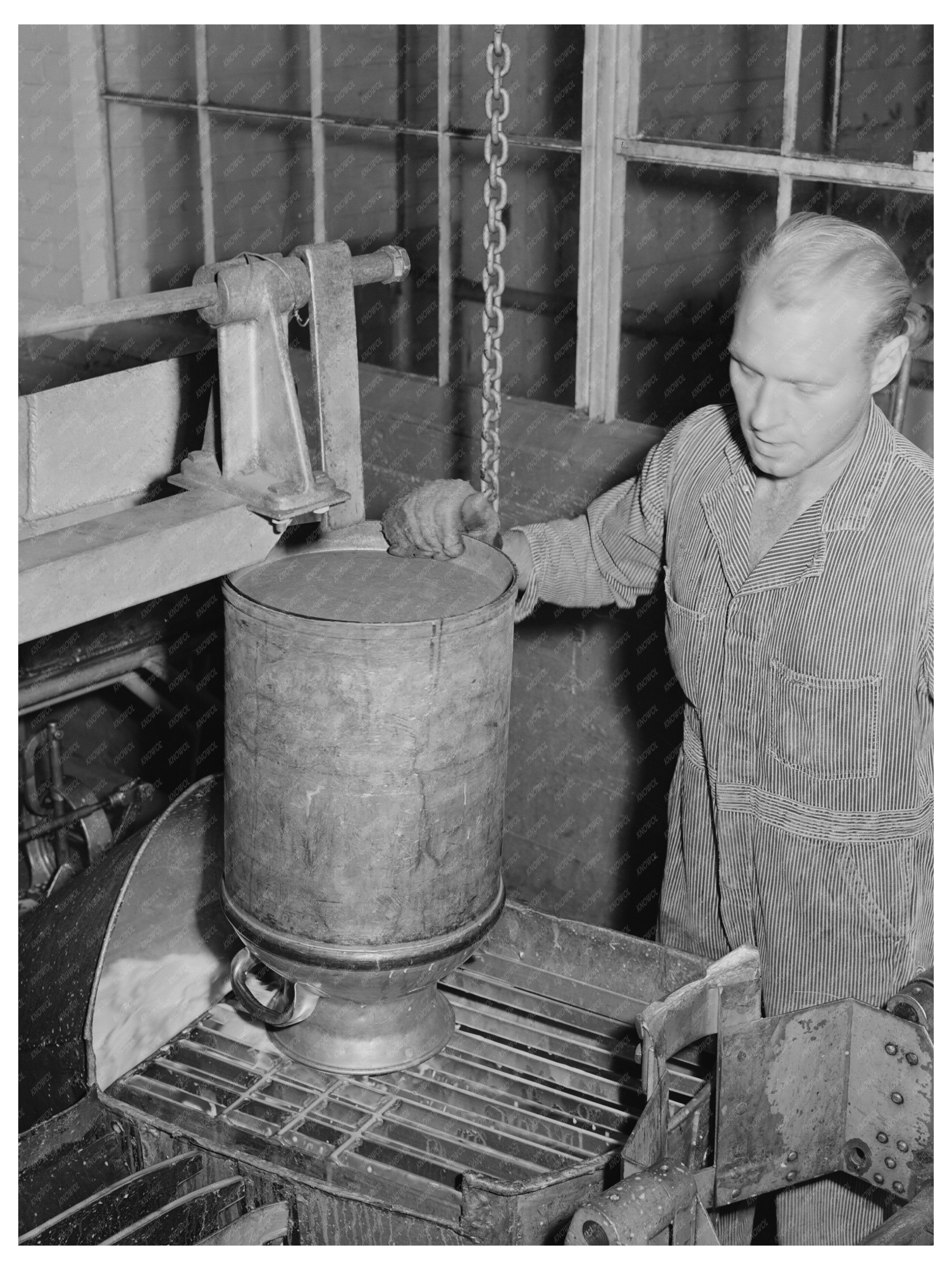 Milk Weighing Process at Dairymens Cooperative 1941