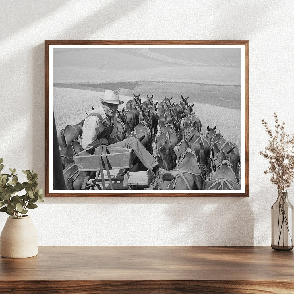 Mule Skinner Team in Walla Walla County 1941