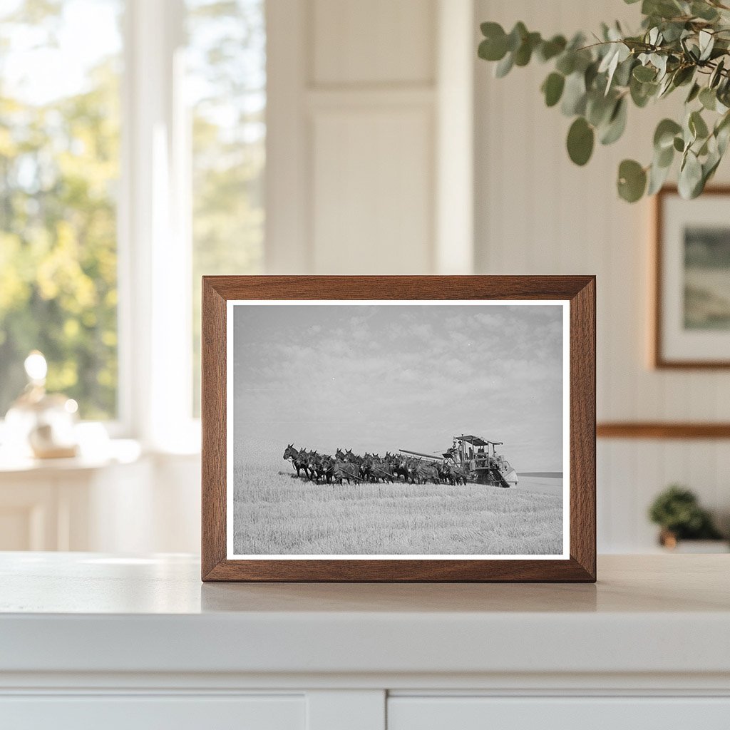 Twenty-Mule Team Working in Walla Walla County 1941